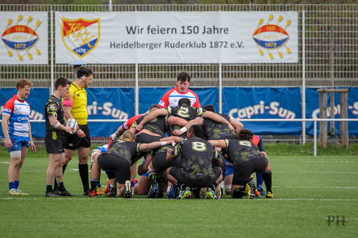 Paula Hacker | Rugby | Tierfotograf auf alleFotografen
