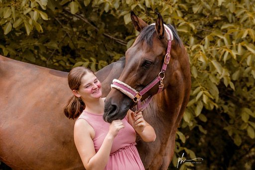 Paula Hacker | Pferde | Hundefotograf auf alleFotografen