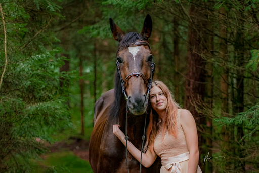 Paula Hacker | Pferde | Hundefotograf auf alleFotografen