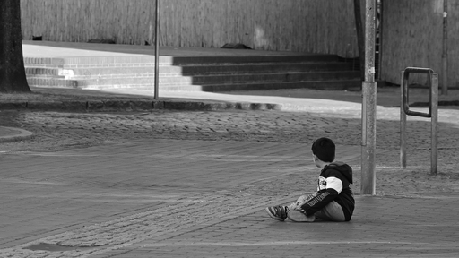 Dennis Tingler | Street | Tierfotograf auf alleFotografen