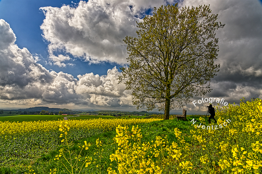 Fotografie Norbert Jentzsch | Landschaften | Bewerbungsfotograf auf alleFotografen
