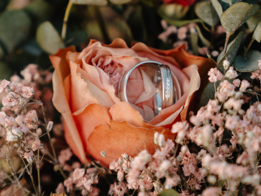 Farbspielmomente | Hochzeit | Familienfotograf auf alleFotografen