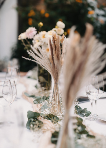 Farbspielmomente | Hochzeit | Familienfotograf auf alleFotografen