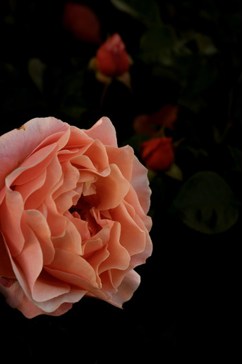 BererPhotography | Nature | Paarfotograf auf alleFotografen