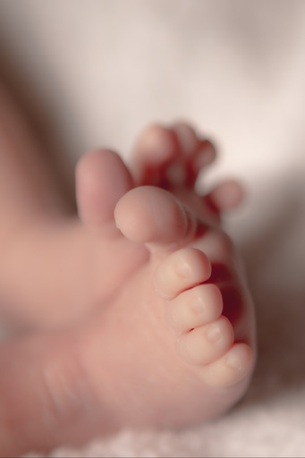 Liderschlag Fotografie  | Baby /Schwangerschaft | Babyfotograf auf alleFotografen