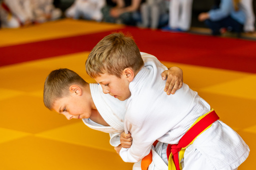 Marcel Sutter (Code.Sport) | Judo | Konzertfotograf auf alleFotografen