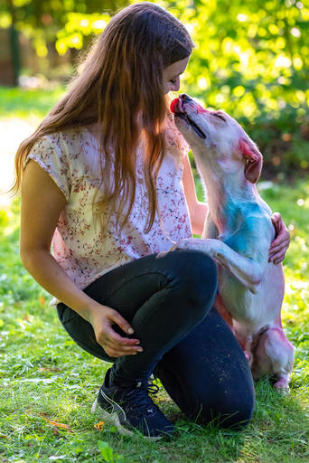 nadinefotografie by Nadine Molnar | Hunde | Kita- und Schulfotograf auf alleFotografen