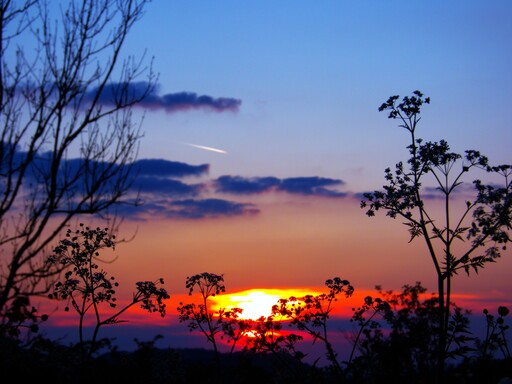 Sonnenengel  | Sonnenuntergang | Landschaftsfotograf auf alleFotografen