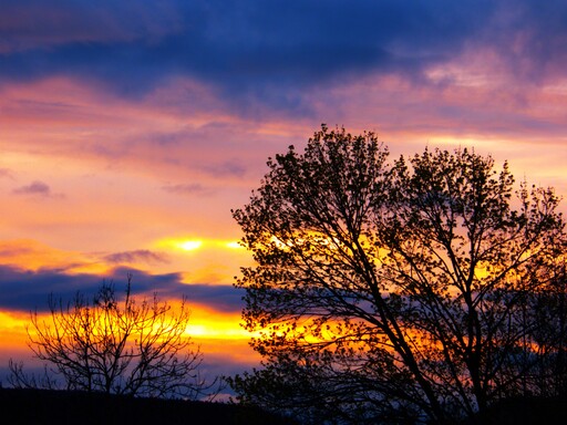 Sonnenengel  | Sonnenuntergang | Landschaftsfotograf auf alleFotografen