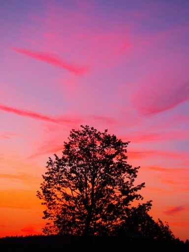 Sonnenengel  | Sonnenuntergang | Landschaftsfotograf auf alleFotografen