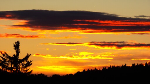 Sonnenengel  | Sonnenuntergang | Landschaftsfotograf auf alleFotografen