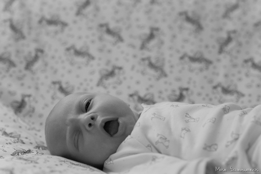 minimal-photo | Kids + Family | Konzertfotograf auf alleFotografen