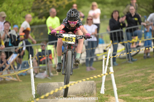 Art in Pics - Katrin Zimmermann | Sport | Hundefotograf auf alleFotografen