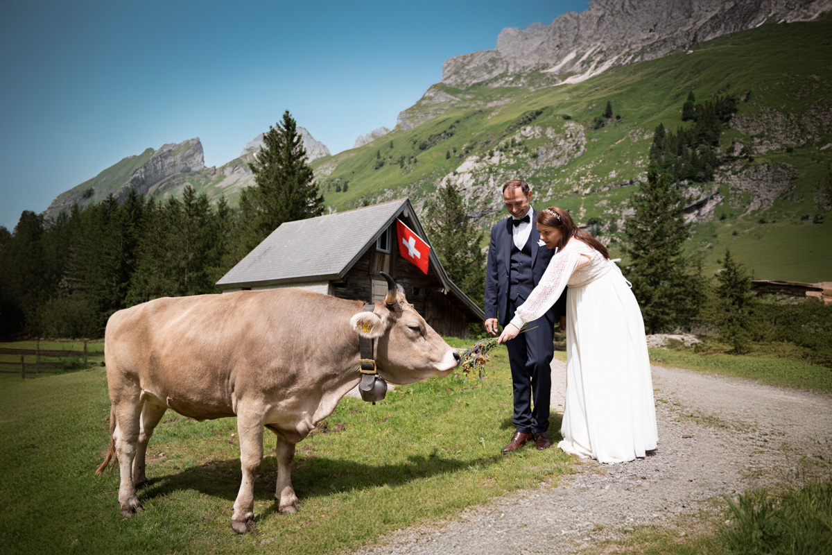 Fotomeg.ch | Hochzeitsfotos | Kita- und Schulfotograf auf alleFotografen