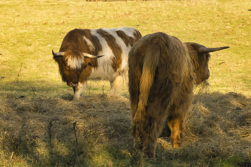 momentaufnahmen_daniel.s | landschaftsfotografie | Landschaftsfotograf auf alleFotografen