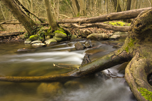 momentaufnahmen_daniel.s | landschaftsfotografie | Landschaftsfotograf auf alleFotografen