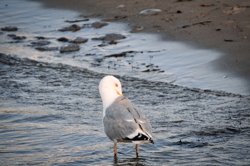 momentaufnahmen_daniel.s | landschaftsfotografie | Architekturfotograf auf alleFotografen