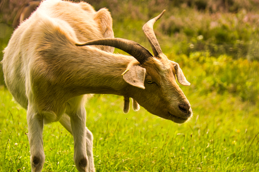 momentaufnahmen_daniel.s | Landschaftsfotografie | Landschaftsfotograf auf alleFotografen