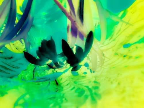 MissY.B. | Fassettenreich | Kunstfotograf auf alleFotografen