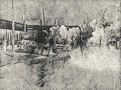 MissY.B. | Fassettenreich | Imagefotograf auf alleFotografen