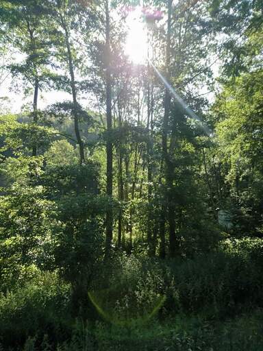 MissY.B. | Fassettenreich | Kunstfotograf auf alleFotografen