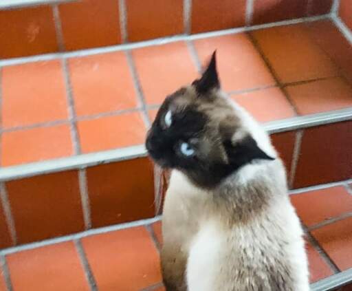 MissY.B. | WandDesign | Kunstfotograf auf alleFotografen