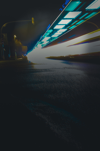 Steffenlw94_fotografie | Light Trail | Tierfotograf auf alleFotografen