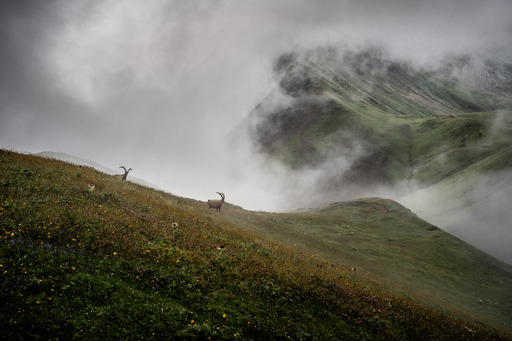 Nico Bogenreuther | Berglandschaften | Familienfotograf auf alleFotografen