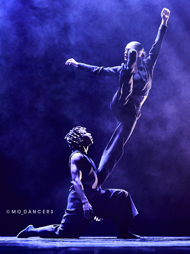 MO Bassa | DANCE | Pferdefotograf auf alleFotografen