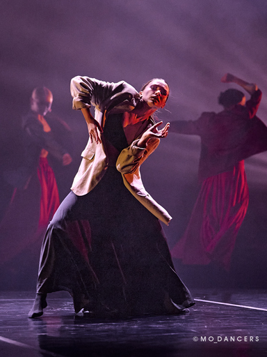 MO Bassa | DANCE | Pressefotograf auf alleFotografen