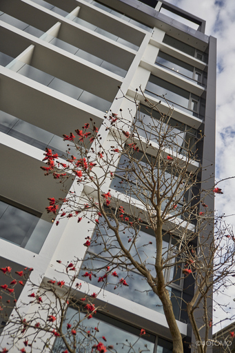 MO Bassa | ARCHITECTURE | Beautyfotograf auf alleFotografen