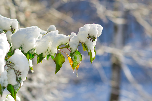 Moonfly_Photography | Winter Time | Landschaftsfotograf auf alleFotografen