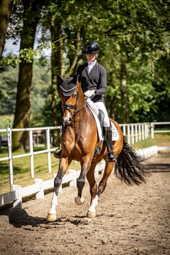 Melanie Engelhardt  | Turnier | Tierfotograf auf alleFotografen