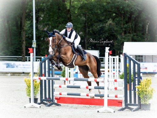 Melanie Engelhardt  | Turnier | Paarfotograf auf alleFotografen