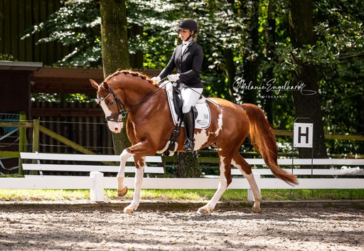 Melanie Engelhardt  | Turnier | Kita- und Schulfotograf auf alleFotografen