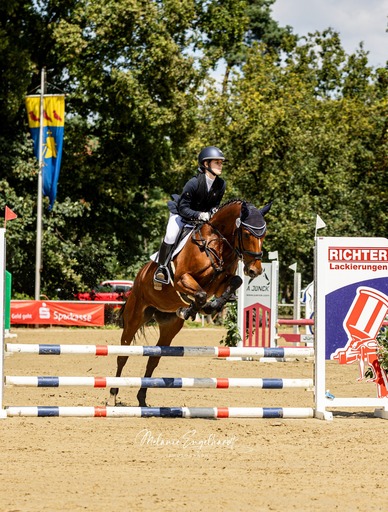 Melanie Engelhardt  | Turnier | Hundefotograf auf alleFotografen