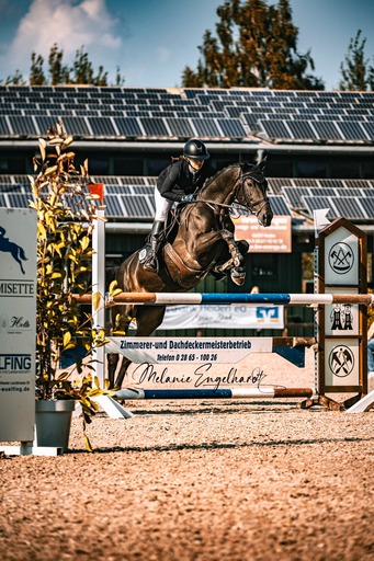 Melanie Engelhardt  | Turnier | Babyfotograf auf alleFotografen