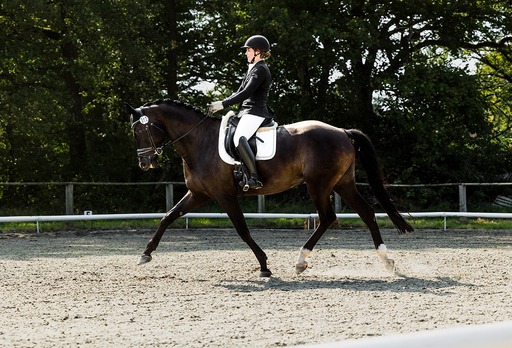 Melanie Engelhardt  | Turnier | Pferdefotograf auf alleFotografen