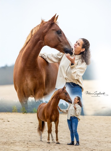 Melanie Engelhardt  | Pferde | Pferdefotograf auf alleFotografen