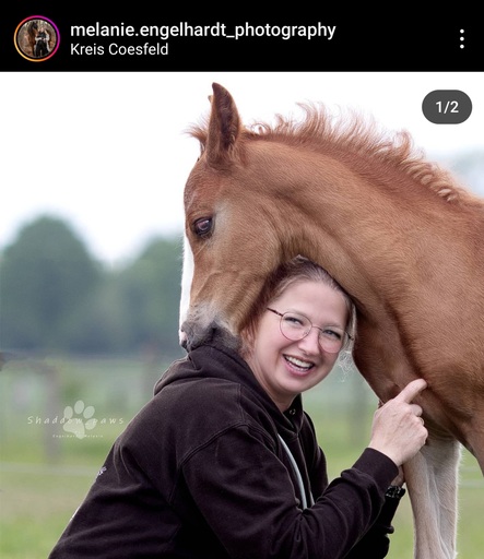 Melanie Engelhardt  | Pferde | Portraitfotograf auf alleFotografen