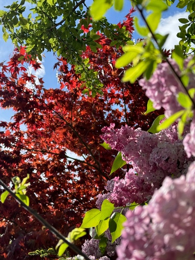 lifeslidepictures | miscellaneous | Landschaftsfotograf auf alleFotografen