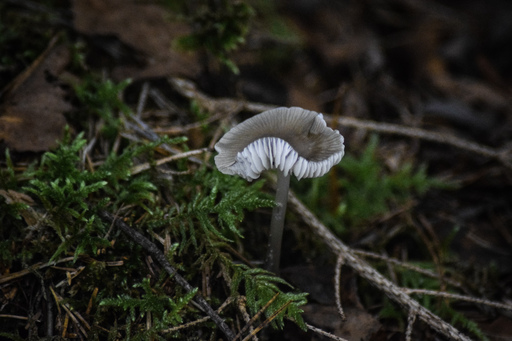 Phototaetig  | Hüte  | Landschaftsfotograf auf alleFotografen