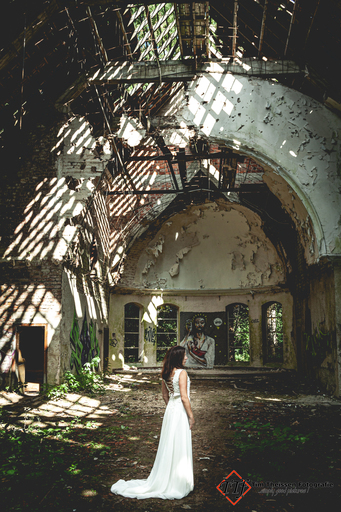 Tim Theissen Fotografie | Portfolio | Pferdefotograf auf alleFotografen