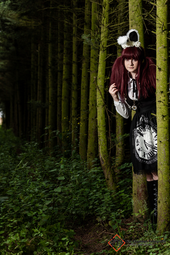 Tim Theissen Fotografie | Portfolio | Tierfotograf auf alleFotografen