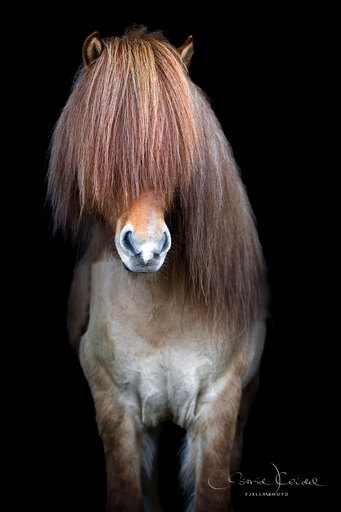 fjella.photo | Black Magic | Landschaftsfotograf auf alleFotografen