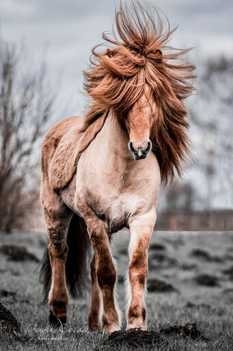 fjella.photo | Outdoor | Werbefotograf auf alleFotografen