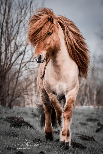 fjella.photo | Outdoor | Landschaftsfotograf auf alleFotografen