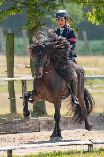 fjella.photo | Turnierfotografie | Hundefotograf auf alleFotografen