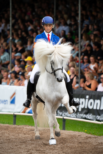 fjella.photo | Turnierfotografie | Pferdefotograf auf alleFotografen