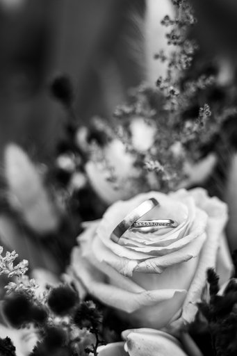 Die Fotostube  | Hochzeitsfotografie | Babyfotograf auf alleFotografen